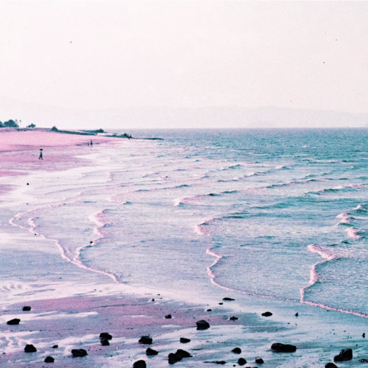 LomoChrome Purple 35mm