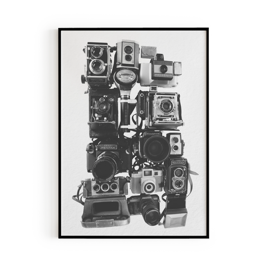 Vintage Cameras Art Print